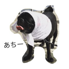 [LINEスタンプ] PUG_LIFE1