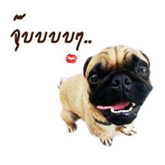 [LINEスタンプ] Just Me Pikky ＆ The Gang