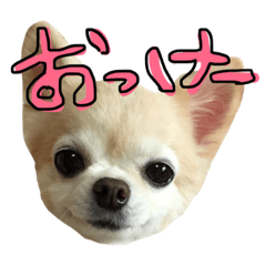 [LINEスタンプ] キャンディー、時々、ポシュル