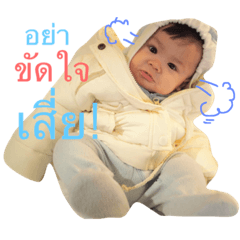 [LINEスタンプ] Monkey Shane (The Richman Monkey)