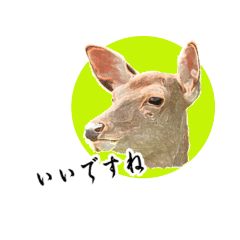 [LINEスタンプ] 鹿のつぶやき