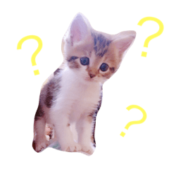 [LINEスタンプ] まろんたん