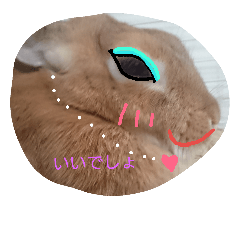 [LINEスタンプ] うさうさハッピーちゃん