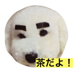 [LINEスタンプ] chakun