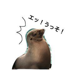 [LINEスタンプ] 動物リアクション芸