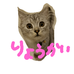 [LINEスタンプ] mofu..mofu fetchpriority=high