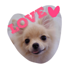 [LINEスタンプ] ピコちゃんの毎日