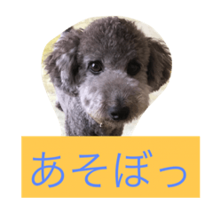 [LINEスタンプ] 犬のぱらだいす