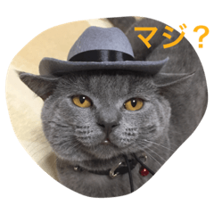 [LINEスタンプ] 我が家の可愛い家族たち