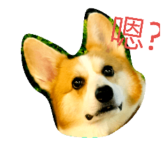 [LINEスタンプ] Marlboro the corgi2