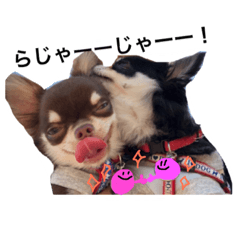 [LINEスタンプ] もずかぼスタイル第3弾.