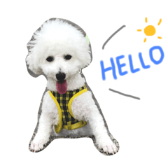 [LINEスタンプ] パンくんの日常1