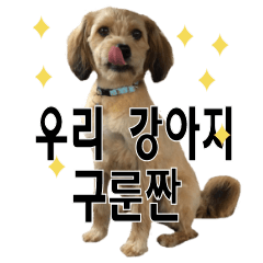 [LINEスタンプ] ポメプー くるんちゃんの百面相～韓国語～