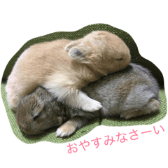 [LINEスタンプ] うーちゃんとゆかいな仲間達