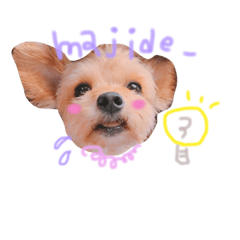 [LINEスタンプ] てでくんvol.2☺︎