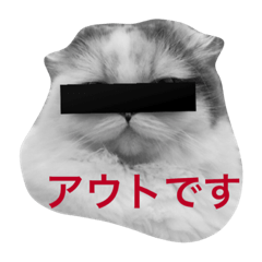 [LINEスタンプ] 猫はかわいいの配分を間違えて生まreturns