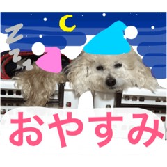 [LINEスタンプ] 篠原家のもふもふ