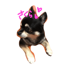 [LINEスタンプ] remo
