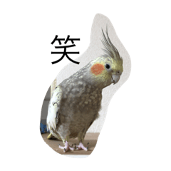 [LINEスタンプ] パール ダイヤ