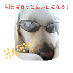 [LINEスタンプ] ラブとピースのワンだふるメッセージ