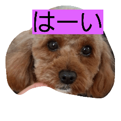 [LINEスタンプ] 大きい目