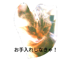 [LINEスタンプ] The mingcat ！
