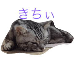 [LINEスタンプ] ロック ちゃん