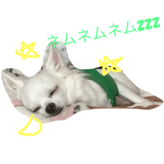 [LINEスタンプ] あびこさんちのビビ丸王子