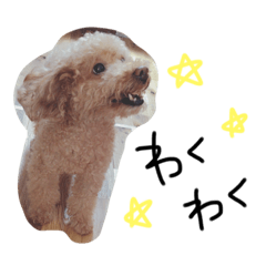 [LINEスタンプ] わんころ の 日常生活