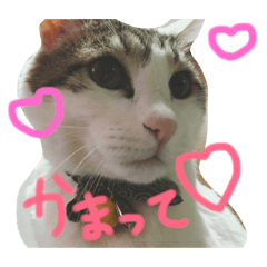 [LINEスタンプ] くうたろうすたんぷ。