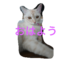 [LINEスタンプ] sorayuki