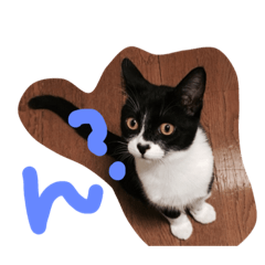 [LINEスタンプ] らむ太