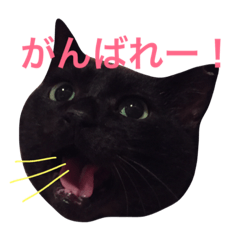 [LINEスタンプ] おじぷさんファミリー