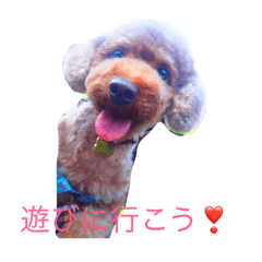 [LINEスタンプ] 毎日楽しい