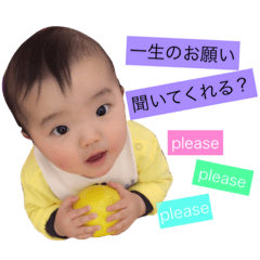 [LINEスタンプ] こーきくんの日常