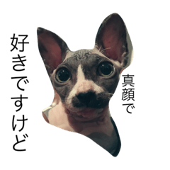 [LINEスタンプ] Nana sphinx Pt.3