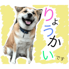 [LINEスタンプ] カイトくんのスタンプ