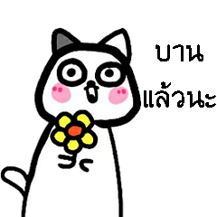[LINEスタンプ] Cats talk a lot