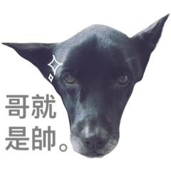 [LINEスタンプ] Mao's Daily