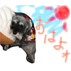 [LINEスタンプ] モフモフs＊A.
