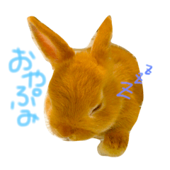 [LINEスタンプ] さちまるくんの1日