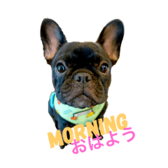 [LINEスタンプ] フレブルGちゃん①