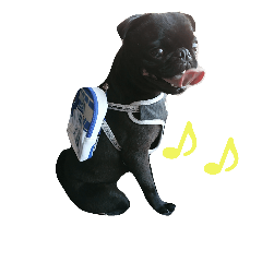 [LINEスタンプ] blackpug bubu