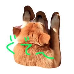 [LINEスタンプ] みーぺっと