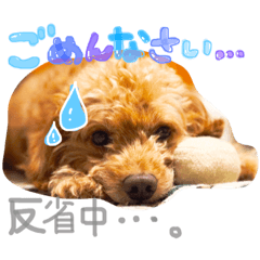 [LINEスタンプ] ジョン＆ハッピー