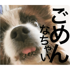 [LINEスタンプ] えりさんのスタンプ