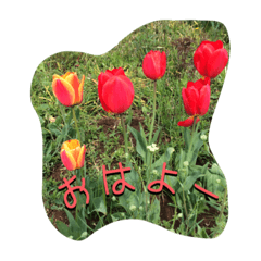 [LINEスタンプ] 今日のキモチ。花。
