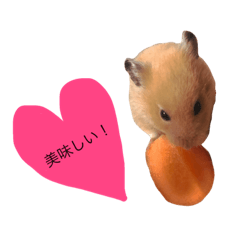 [LINEスタンプ] 可愛いハムスター2