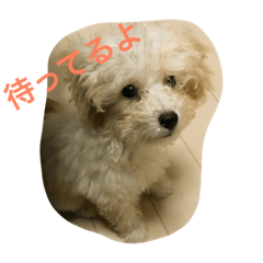 [LINEスタンプ] Mahalo73