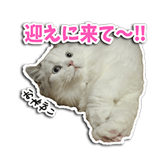 [LINEスタンプ] 動物たちすたんぴー